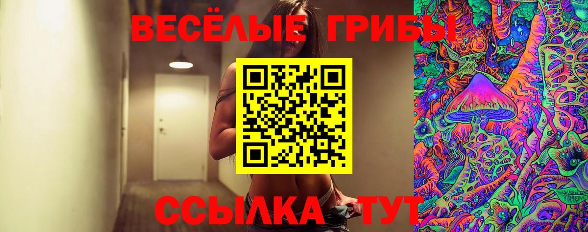 Псилоцибиновые грибы ЛСД Нефтекамск
